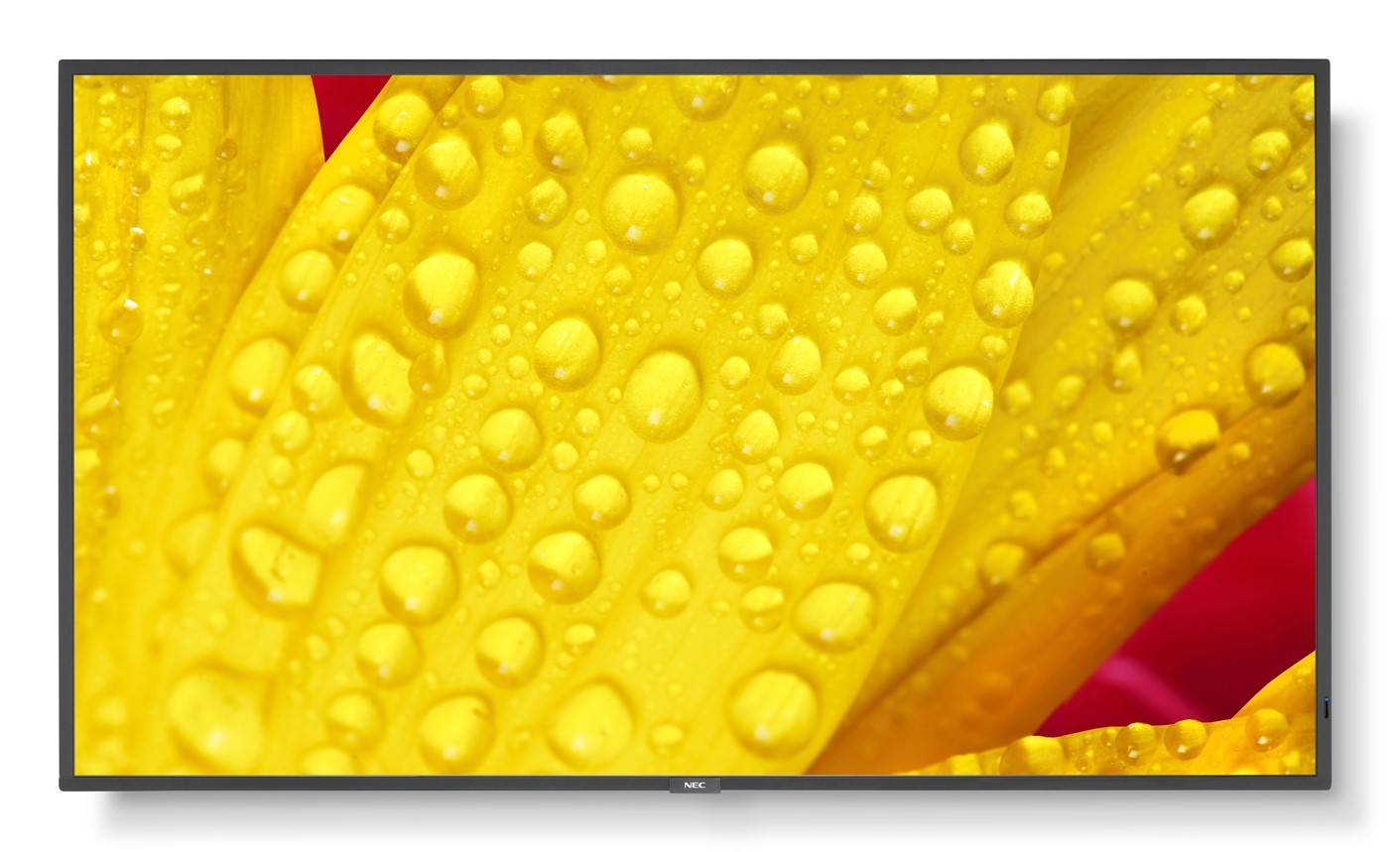 SHARP/NEC LFD 43" MultiSync ME431 IR-2, 3840x2160, 400nit, 6ms, 18/7, DP, HDMI, LAN, RS232, SDM Slot, Dotyk, MediaPlayer