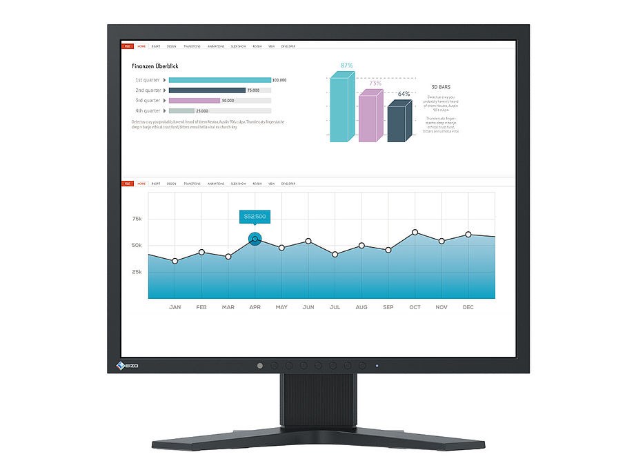 EIZO MT 19palcový S1934 FlexScan, IPS, 1280x1024, 250nit, 1000:1, 14ms, DisplayPort, DVI-D, D-sub, Repro, Černý