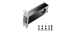 PNY VGA NVIDIA RTX PRO 2000 Blackwell 16G, 16G GDDR7, 4xmDP PNY VGA NVIDIA RTX PRO 2000 Blackwell 16G, 16G GDDR7, 4xmDP