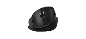 720M Capacitor Tilt Ergonomic Mouse 720M Capacitor Tilt Ergonomic Mouse