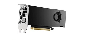 DELL NVIDIA RTX 2000 Ada Generation 16 GB GDDR6 half height PCIe 4.0 x 8 4 mDP Graphics Card DELL NVIDIA RTX 2000 Ada Generation 16 GB GDDR6 half height PCIe 4.0 x 8 4 mDP Graphics Card