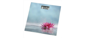 Xavax osobní digitální váha ROSA