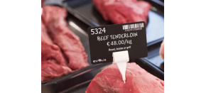 Evolis price tag spikes, narrow – úzké hroty pro cenovky (25 ks) Evolis price tag spikes, narrow – úzké hroty pro cenovky (25 ks)