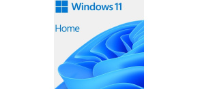 PROMO 10+1 Windows 11 Home 64Bit CZ OEM PROMO 10+1 Windows 11 Home 64Bit CZ OEM