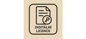 PAC-MAN 256 (PC) klíč Steam