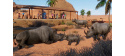 Planet Zoo: Arid Animal Pack (PC) klíč Steam