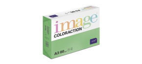 Antalis Papír Image Coloraction Dublin - tmavě zelená (DG47) A3 (80g/500ks)