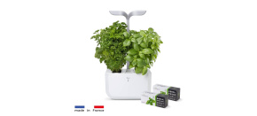 Véritable Exky CLASSIC - Automatický květináč s regulací osvětlení, bílá + 2 bylinkové náplně