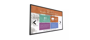 Philips LED display 43" 43BDL4051T/00