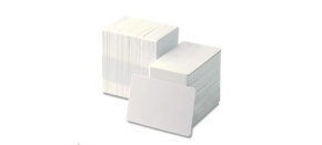 Zebra Premier card, signature