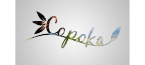 Copoka (PC) klíč Steam Copoka (PC) klíč Steam