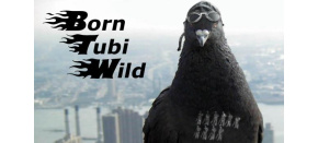 Born Tubi Wild (PC) klíč Steam Born Tubi Wild (PC) klíč Steam