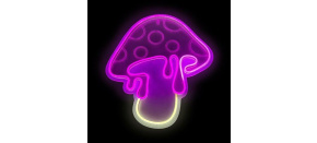 2Kids Toys LED NEON LIGHT lampička Houba