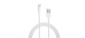 APPLE USB kabel s konektorem Lightning (0,5m)