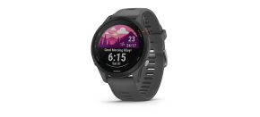 Garmin GPS sportovní hodinky Forerunner® 255, Slate Gray