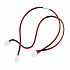 Zebra Y-Cable
