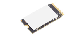 LENOVO disk ThinkPad 256GB PCIe Gen4x4 NVMe OPAL2 M.2 2242 SSD Gen 2 LENOVO disk ThinkPad 256GB PCIe Gen4x4 NVMe OPAL2 M.2 2242 SSD Gen 2