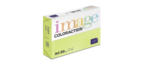 Antalis Papír Image Coloraction Rio - reflexní zelená (NeoGn) A4 (80g/100ks)