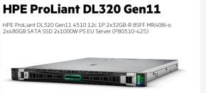 HPE PL DL320g11 4510 (2.4/12C) 2x32G (p64706) 2x480G (P40497) MR408i-o 8SFF 2x1000W 2x1Gb Smart Choice