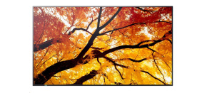 SHARP M502, LCD 50" Message Large Format Display, 24/7, 3840 x 2160, 500 [cd/m2]