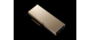 NVIDIA A100 80GB PCIe NonCEC Accelerator