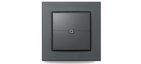 Homematic IP  Nástěnný dálkový ovladač - 2 tlačítka, antracit - HmIP-WRC2-A