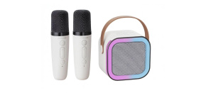 CARNEO Karaoke DJ mini