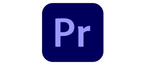 Premiere Pro for teams MP ML Government 1 User, 12 Months, Level 4, 100+ Lic