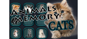 Animals Memory: Cats (PC) klíč Steam Animals Memory: Cats (PC) klíč Steam