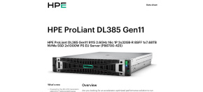 HPE PL DL385g11 AMD EPYC 9115 (2.6/16C) 2x32G (P64985) 1x7.68TB NVMe 2x1000W 8SFF 2p10GT Smart Choice HPE PL DL385g11 AMD EPYC 9115 (2.6/16C) 2x32G (P64985) 1x7.68TB NVMe 2x1000W 8SFF 2p10GT Smart Choice