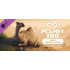 Planet Zoo: Arid Animal Pack (PC) klíč Steam