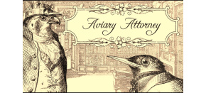 Aviary Attorney (PC) klíč Steam Aviary Attorney (PC) klíč Steam