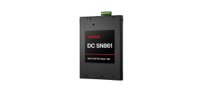 SanDisk Carrera Syndicate SSD 0.96TB DC, SN861, PCIe Gen5, (R:3800, W:1600MB/s), BICS6 TLC NVMe E1.S, TCG Opal,Generic