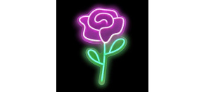 2Kids Toys LED NEON LIGHT lampička Růže