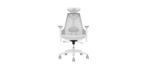 ASUS herní křeslo ROG Destrier Core, bílá